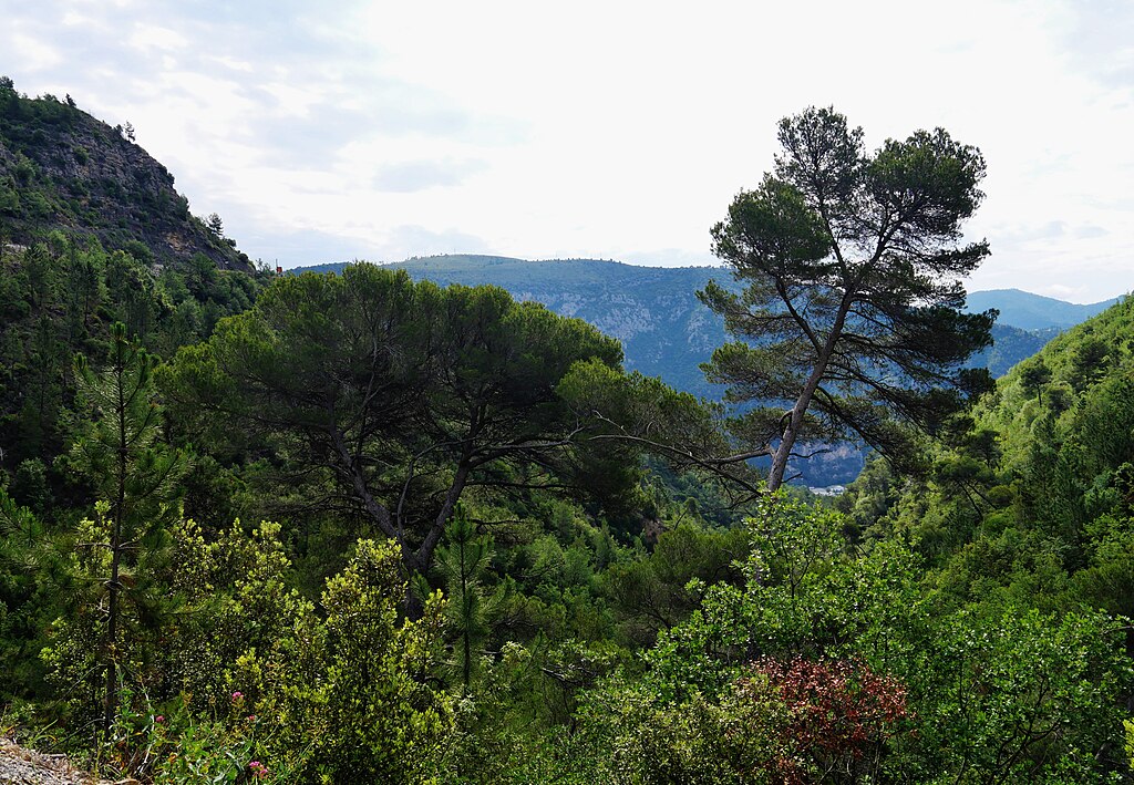 Douche à l'italienne Alpes-Maritimes