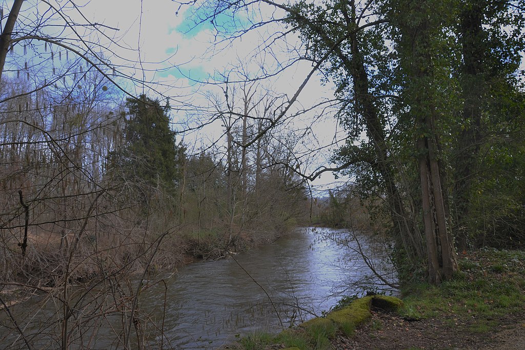 Douche à l'italienne Corrèze