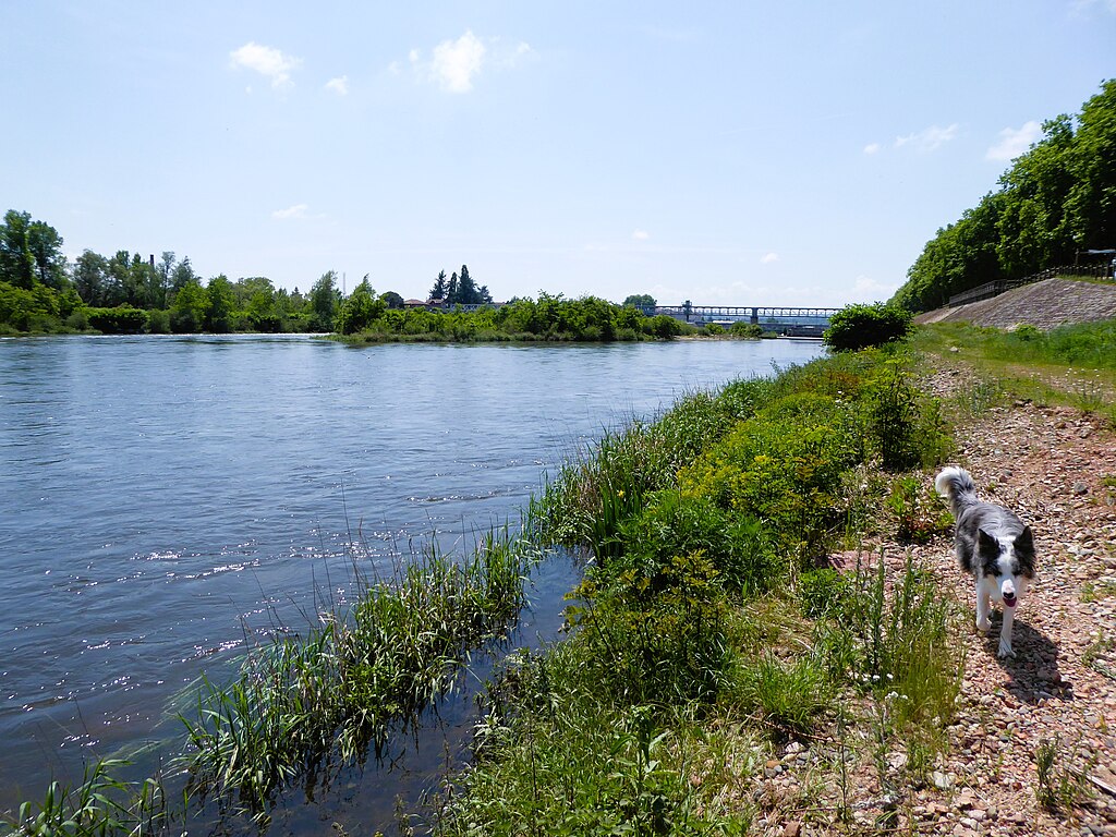 Douche à l'italienne Loire
