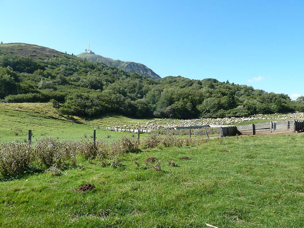 Douche à l'italienne Puy-de-Dôme
