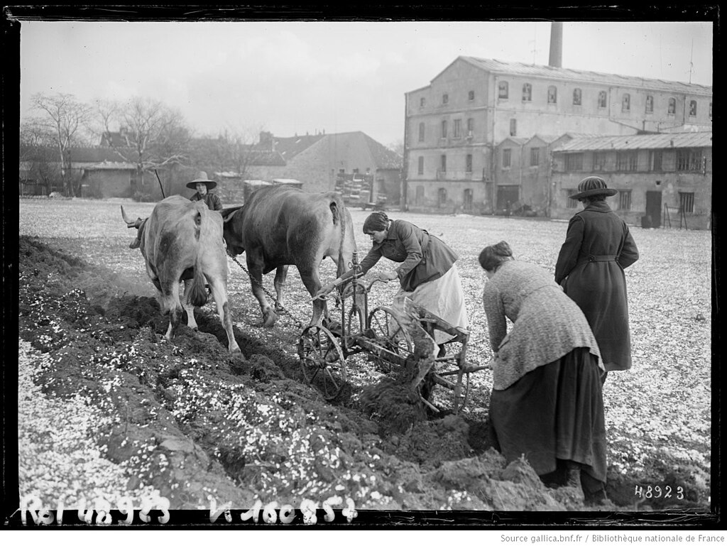 Douche à l'italienne Val-de-Marne