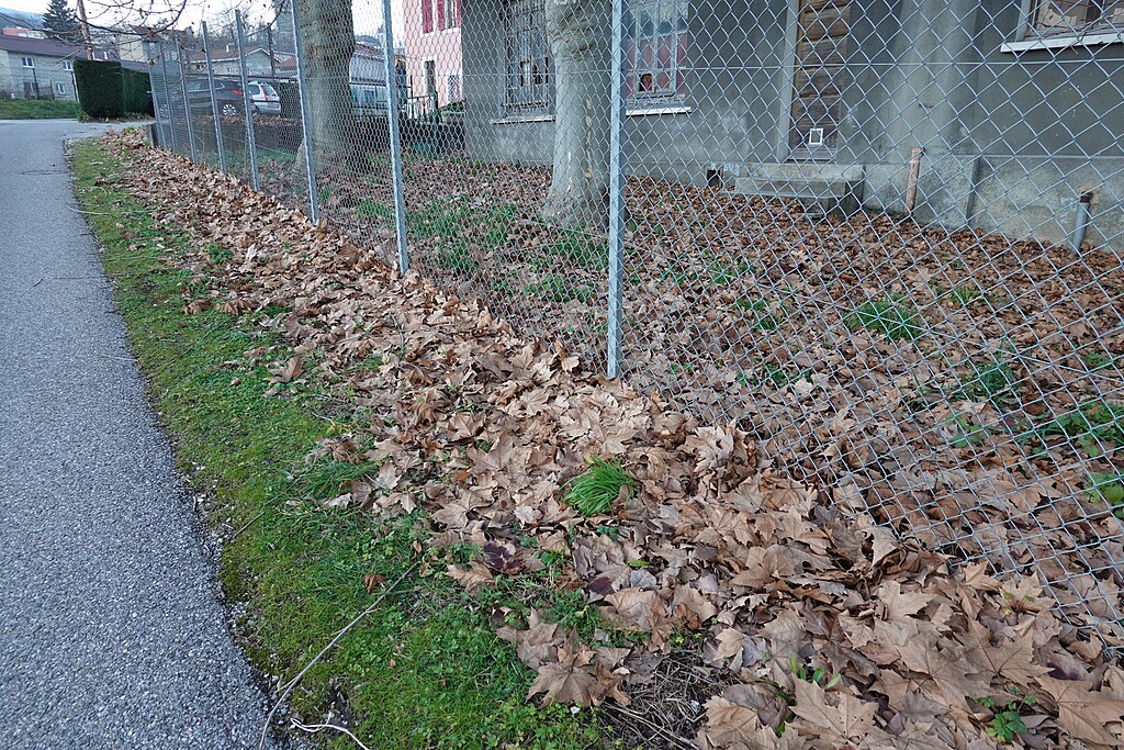 Douche à l'italienne Bellegarde-sur-Valserine