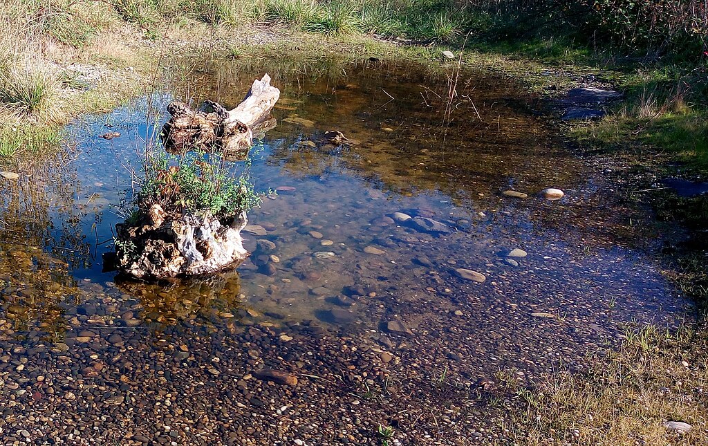 Douche à l'italienne Wittenheim