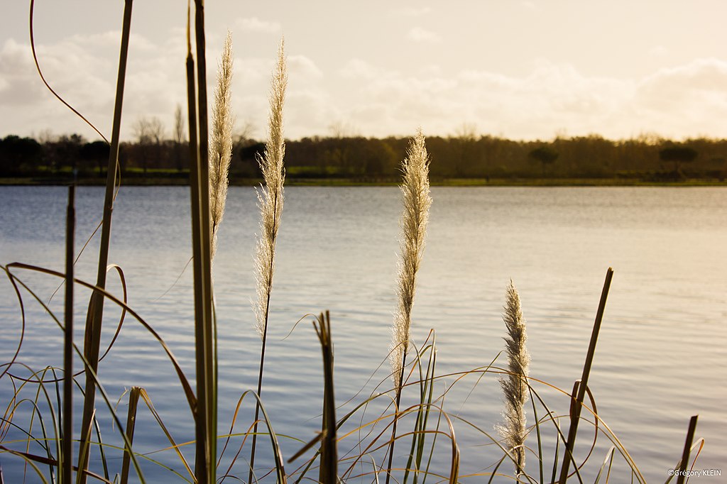 Douche à l'italienne Tournefeuille
