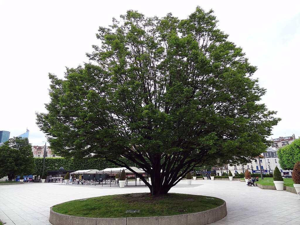 Douche à l'italienne Puteaux