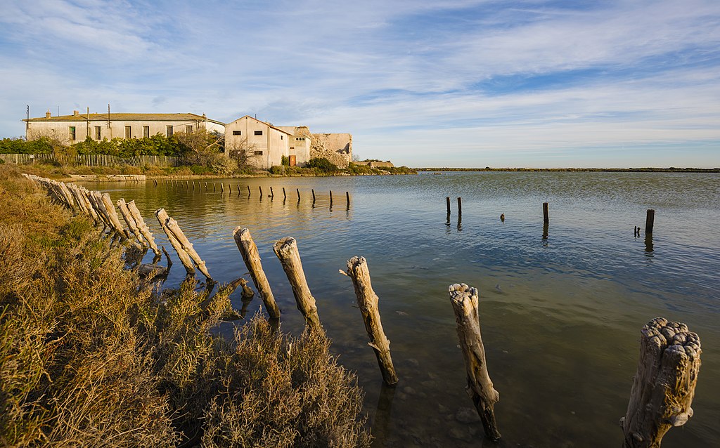 Douche à l'italienne Frontignan