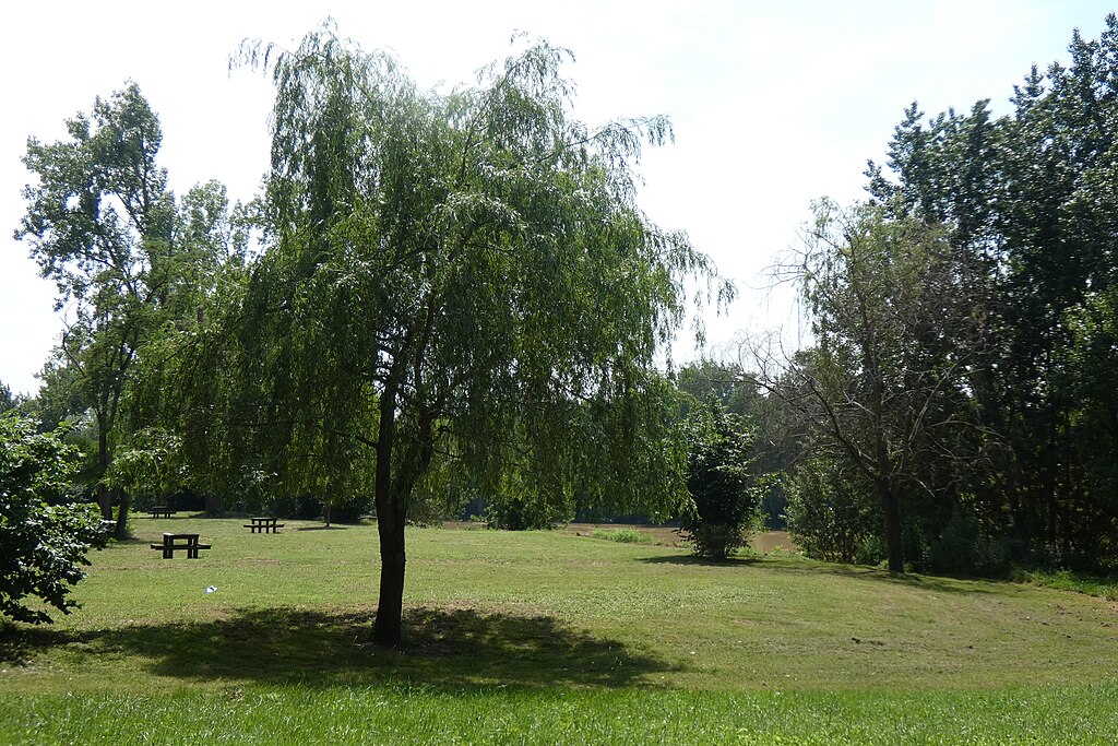 Douche à l'italienne Marmande